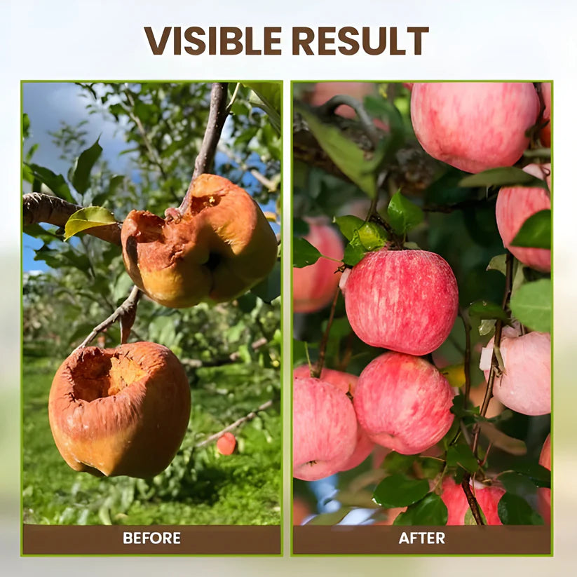 Soil Activated Treasure Premium Soil Activator 200gram (Pack of 2)