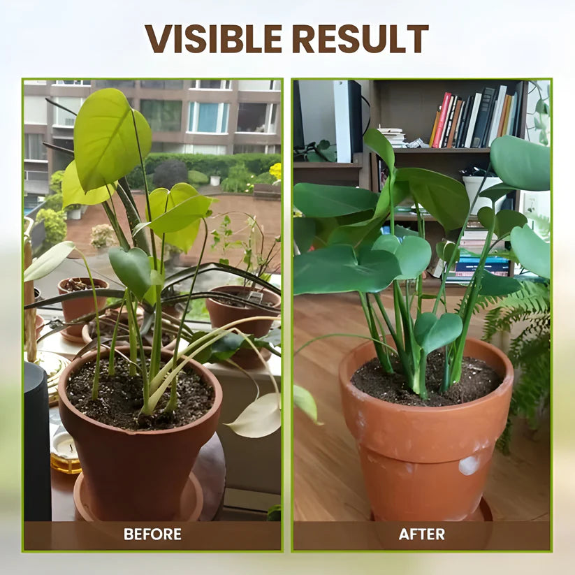 Soil Activated Treasure Premium Soil Activator 200gram (Pack of 2)